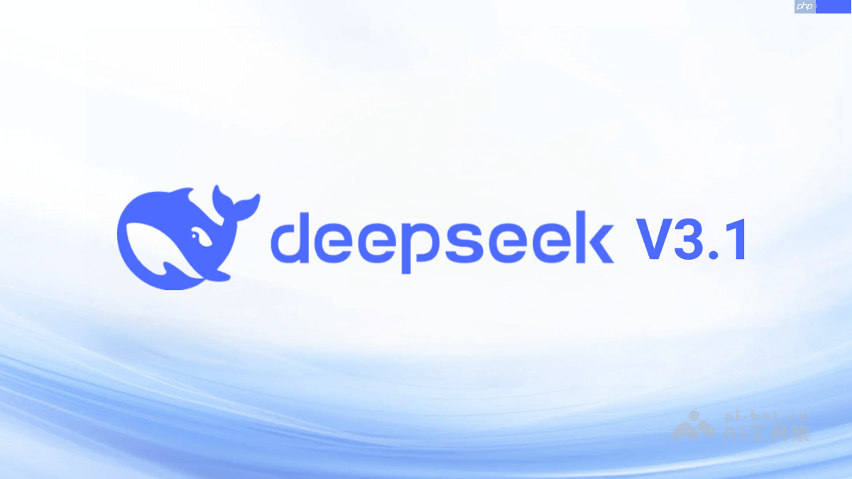 DeepSeek V3.1— DeepSeek最新开源的AI模型版本