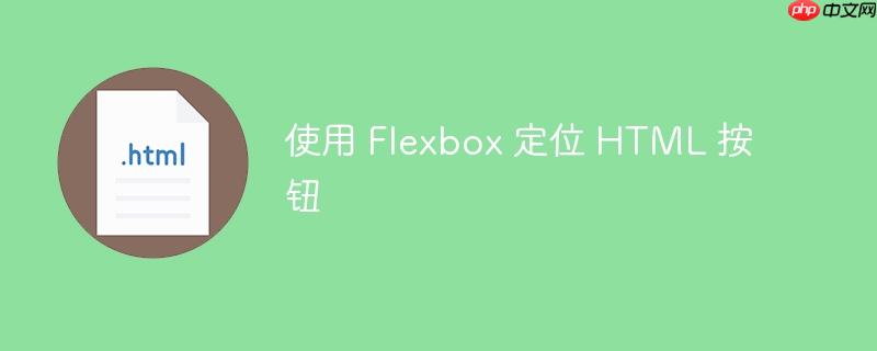 使用 Flexbox 定位 HTML 按钮-小浪学习网