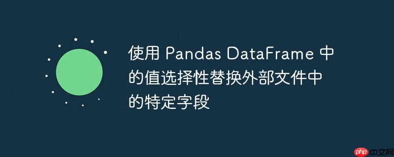 使用 pandas dataframe 中的值选择性替换外部文件中的特定字段