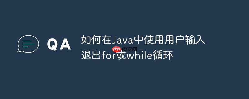 如何在Java中使用用户输入退出for或while循环