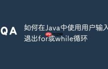 如何在Java中使用用戶輸入退出for或while循環(huán)