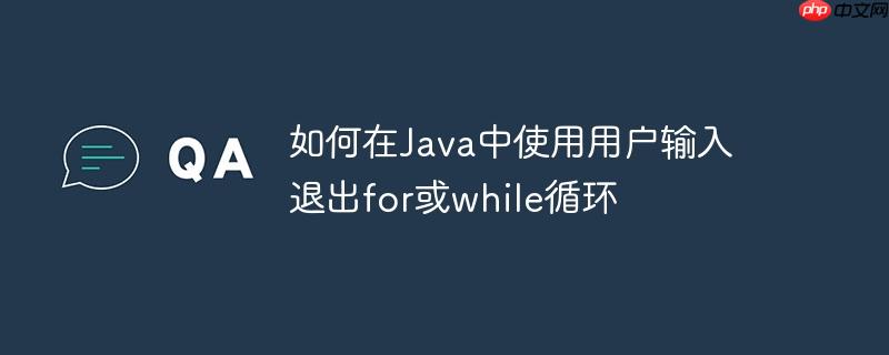 如何在Java中使用用户输入退出for或while循环-小浪学习网