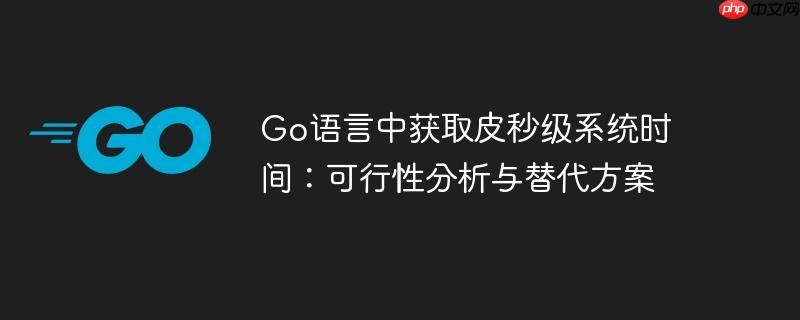 go语言中获取皮秒级系统时间：可行性分析与替代方案