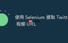 使用 Selenium 提取 Twitter 视频 URL