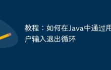 教程：如何在Java中通過用戶輸入退出循環(huán)