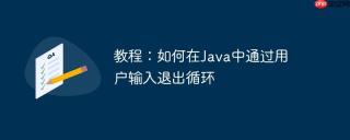 教程：如何在Java中通过用户输入退出循环