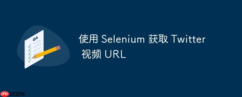 使用 Selenium 获取 Twitter 视频 URL
