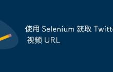 使用 Selenium 获取 Twitter 视频 URL