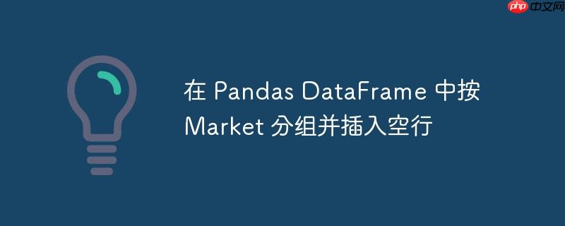 在 pandas dataframe 中按 market 分组并插入空行