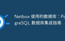 Netbox 使用的數(shù)據(jù)庫：PostgreSQL 數(shù)據(jù)庫集成指南