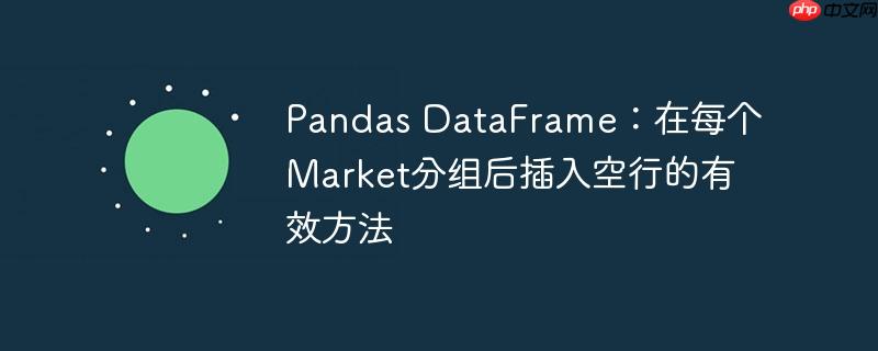 pandas dataframe：在每个market分组后插入空行的有效方法