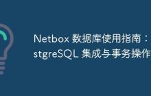 Netbox 數(shù)據(jù)庫使用指南：PostgreSQL 集成與事務(wù)操作
