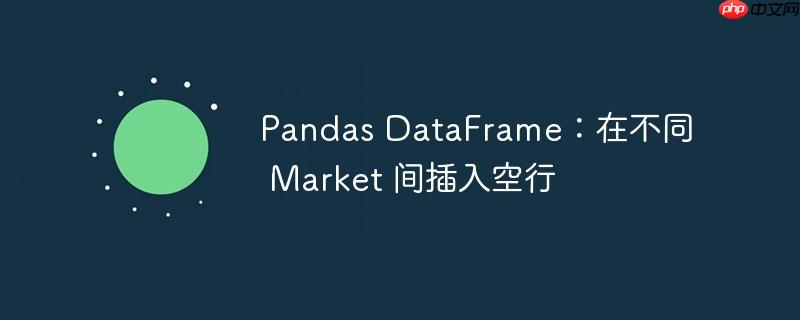 pandas dataframe：在不同 market 间插入空行