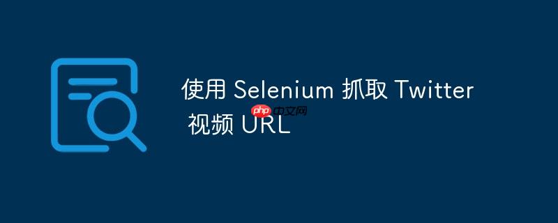 使用 Selenium 抓取 Twitter 视频 URL