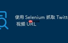 使用 Selenium 抓取 Twitter 视频 URL
