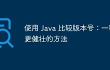 使用 Java 比較版本號(hào)：一種更健壯的方法