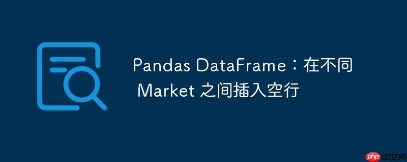 pandas dataframe：在不同 market 之间插入空行