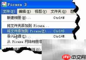 Picasa打造炫酷照片拼贴