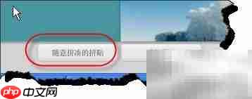 Picasa打造炫酷照片拼贴