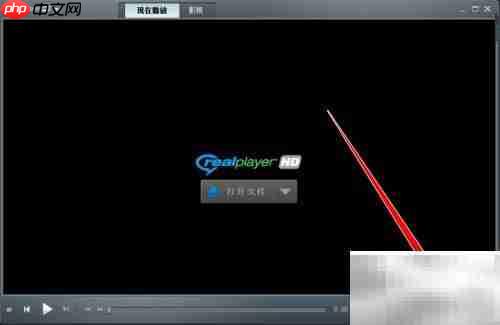 RealPlayer保存播放列表方法