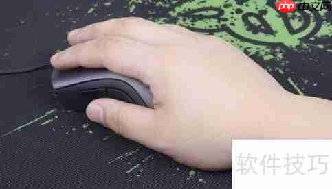 捏鼠与趴鼠:握鼠大不同