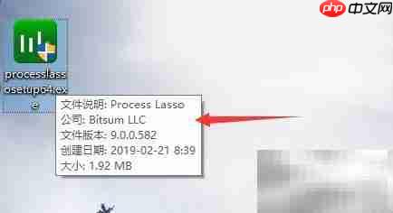 Process Lasso安装图文指南