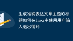 Generate titles that accurately express the topic of the article How to exit loop using user input in Java