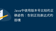 Correct posture for using version number comparison in Java: Say goodbye to the dilemma of regular expressions