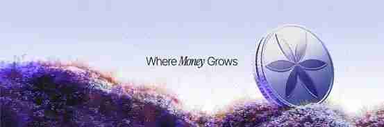 近期值得关注的8个稳定币项目有哪些?一文盘点