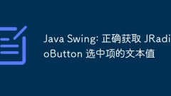 Java Swing: Correctly get the text value of the JRadioButton selected item