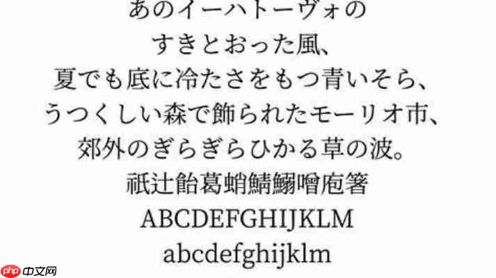 Source Han Serif SC Bold字体特点解析，设计师必备中文字体