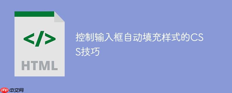 控制输入框自动填充样式的CSS技巧