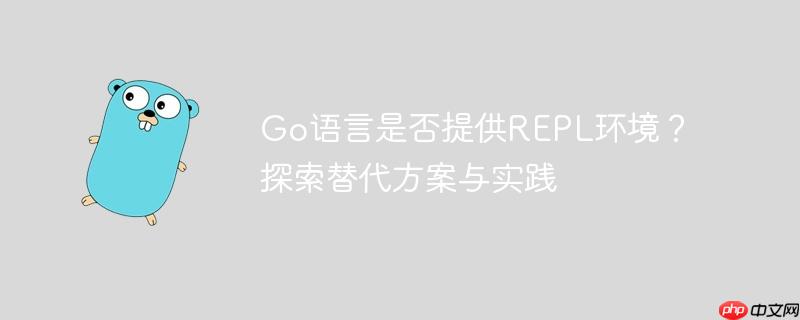 go语言是否提供repl环境?探索替代方案与实践