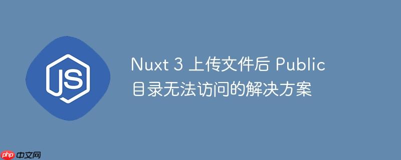 Nuxt 3 上传文件后 Public 目录无法访问的解决方案-小浪学习网