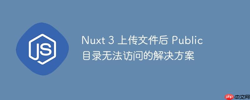 Nuxt 3 上传文件后 Public 目录无法访问的解决方案