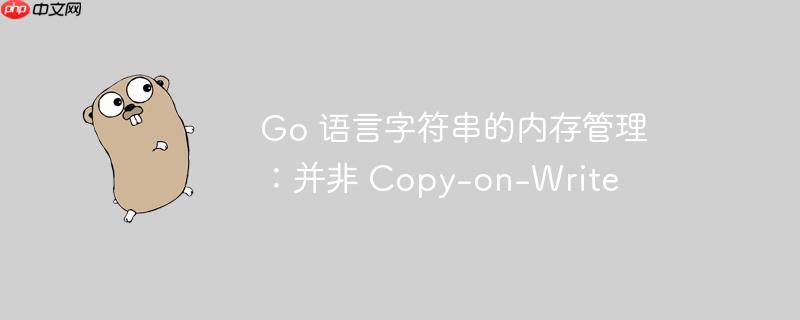 go 语言字符串的内存管理:并非 copy-on-write