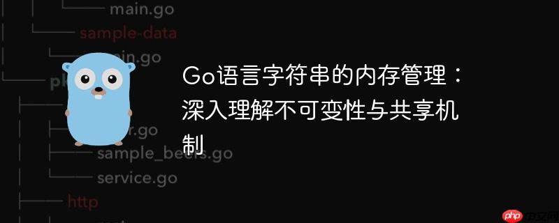 Go语言字符串的内存管理：深入理解不可变性与共享机制-小浪学习网