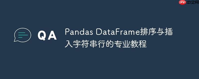 Pandas DataFrame排序与插入字符串行的专业教程-小浪学习网