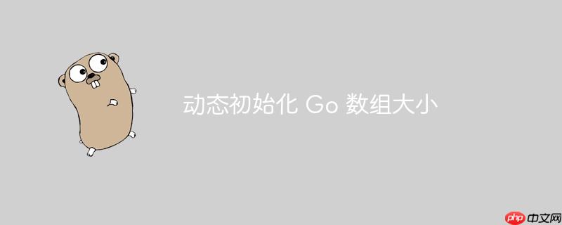 动态初始化 go 数组大小