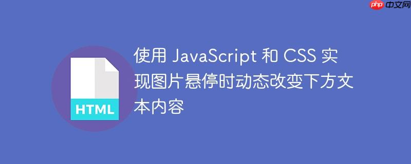 使用 JavaScript 和 CSS 实现图片悬停时动态改变下方文本内容-小浪学习网