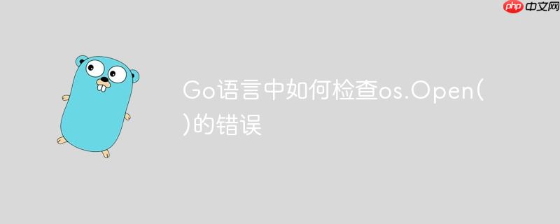 Go语言中如何检查os.Open()的错误-小浪学习网