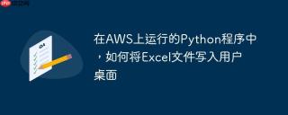 在AWS上运行的Python程序中，如何将Excel文件写入用户桌面