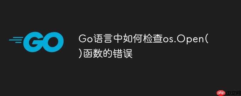 Go语言中如何检查os.Open()函数的错误