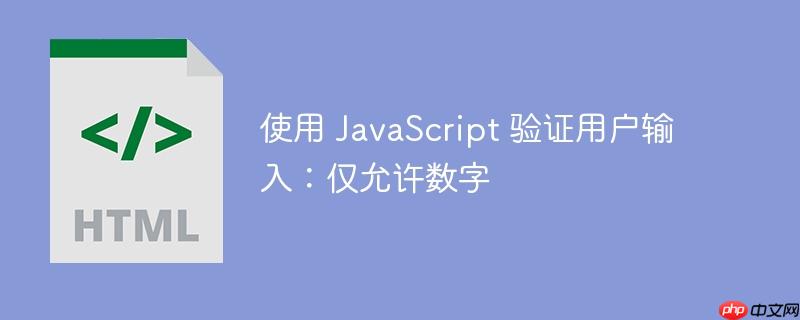 使用 javascript 验证用户输入：仅允许数字