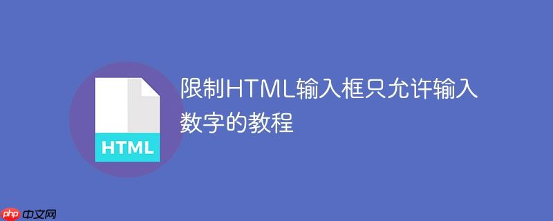 限制HTML输入框只允许输入数字的教程-小浪学习网