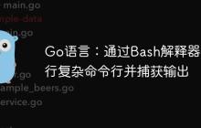 Go语言:通过Bash解释器执行复杂命令行并捕获输出