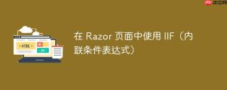 在 Razor 页面中使用 IIF（内联条件表达式）