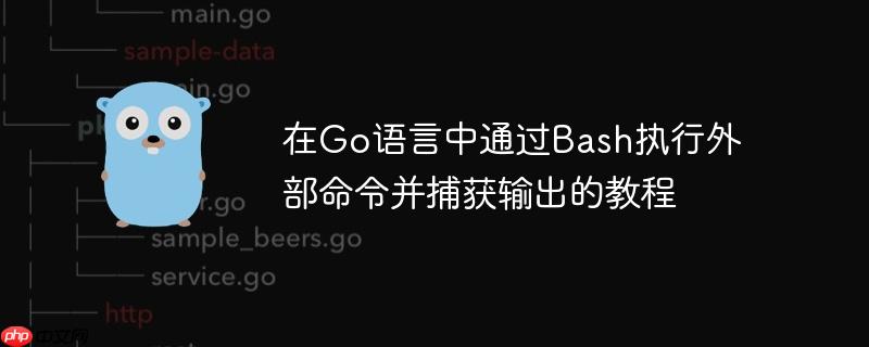 在Go语言中通过Bash执行外部命令并捕获输出的教程