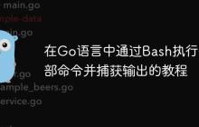 在Go语言中通过Bash执行外部命令并捕获输出的教程