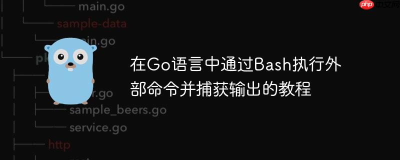 在Go语言中通过Bash执行外部命令并捕获输出的教程-小浪学习网